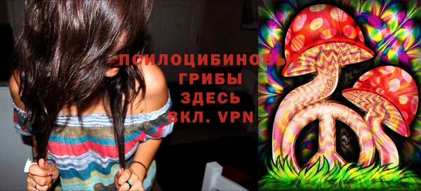 МДПВ Мегион