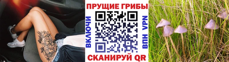 как найти наркотики  Теберда  Псилоцибиновые грибы ЛСД 